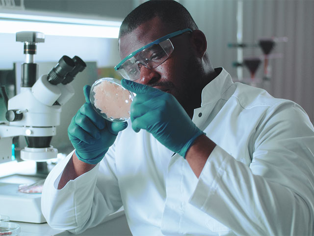 Biologist observing petri dish